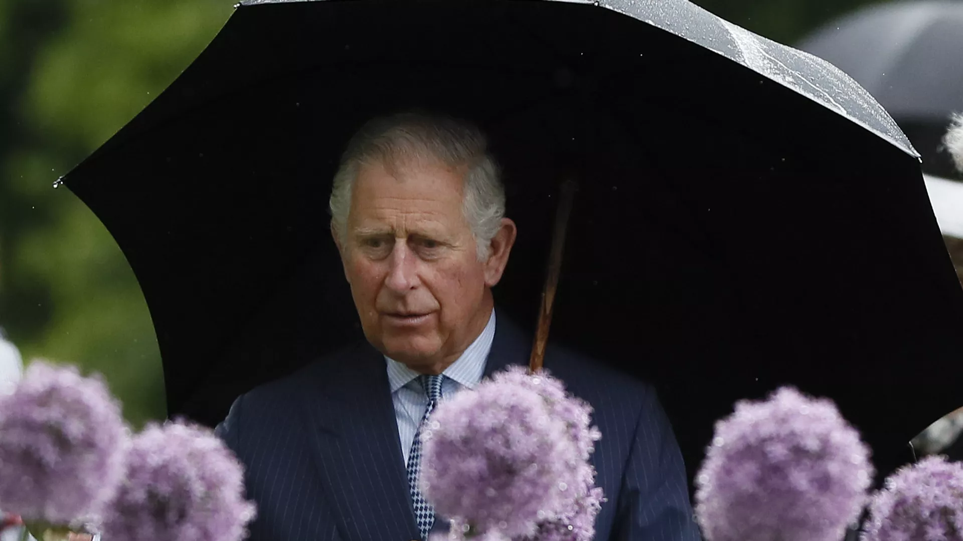 الملك تشارلز