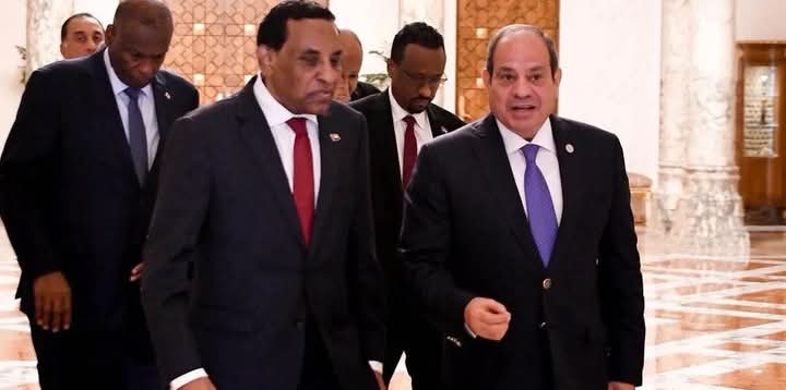 السيسي يلتقي كامل إدريس في القاهرة