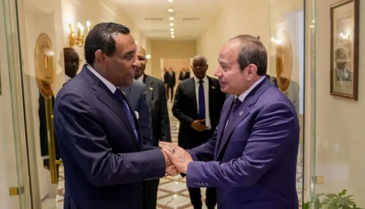 كامل إدريس وعبد الفتاح السيسي